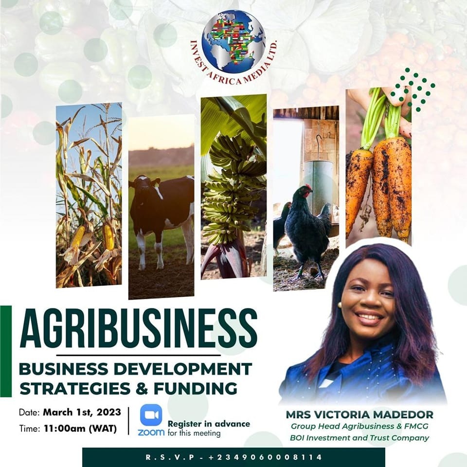 Agribusiness: Business Development Strategies & Funding promotional artwork